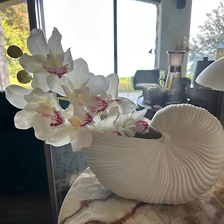 Private Luxury & Silence Retreat With Spectacular View Over The Maggiore Bed & Breakfast